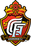 庆南FC